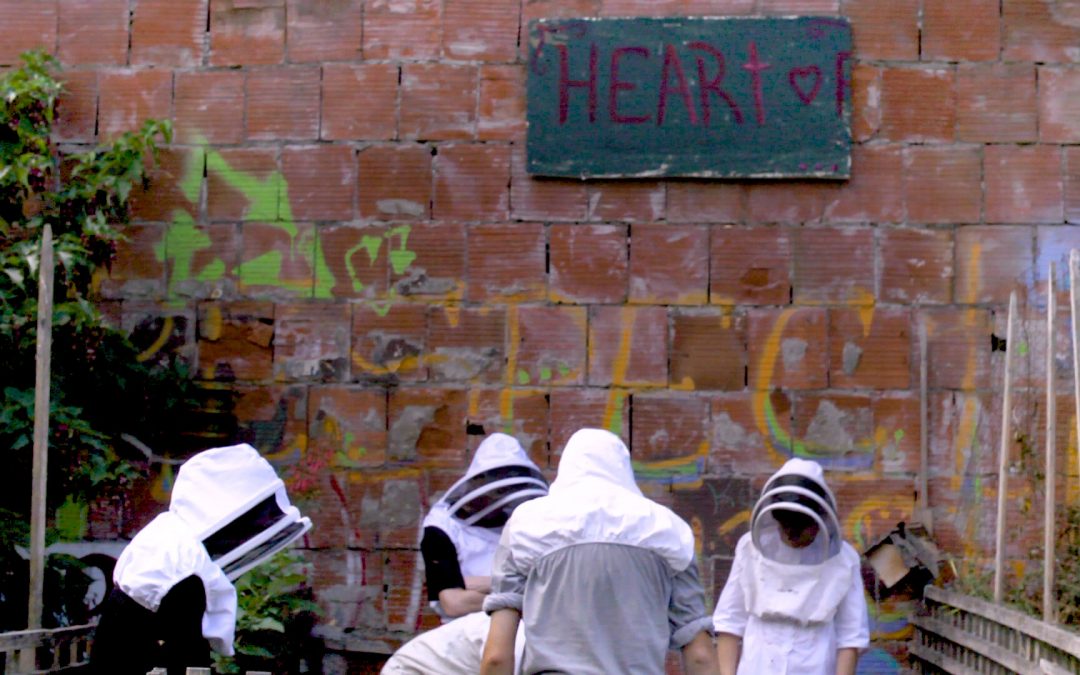 HIVES: How One Woman Uses Beekeeping to Change Lives