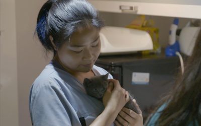 How This Kitten Rescue Volunteer Found Her Passion